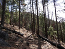 photo thumbnail #4