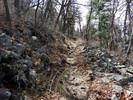 photo thumbnail #5
