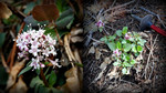 photo thumbnail #14