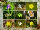 photo thumbnail #12