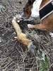 photo thumbnail #3
