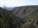 photo thumbnail #8