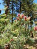 photo thumbnail #14