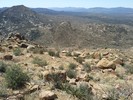 photo thumbnail #1