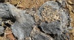 photo thumbnail #12