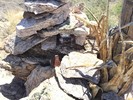photo thumbnail #7