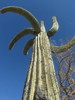 photo thumbnail #14