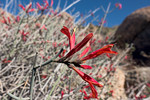 photo thumbnail #9