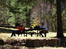 photo thumbnail #7