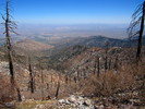 photo thumbnail #10
