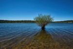 photo thumbnail #13