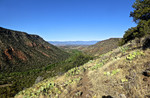 photo thumbnail #8