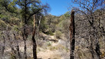 photo thumbnail #9