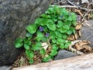 photo thumbnail #15