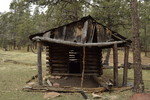 photo thumbnail #6