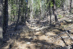 photo thumbnail #2