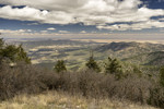 photo thumbnail #5
