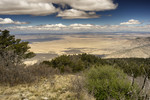 photo thumbnail #6