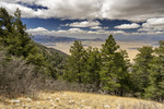 photo thumbnail #7