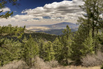 photo thumbnail #11