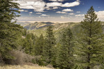 photo thumbnail #12