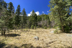 photo thumbnail #13