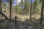photo thumbnail #14
