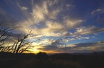 photo thumbnail #15