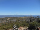 photo thumbnail #4