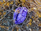 photo thumbnail #2