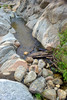 photo thumbnail #8