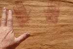 photo thumbnail #12