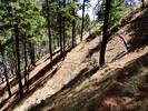 photo thumbnail #3