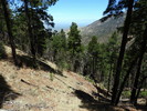 photo thumbnail #4