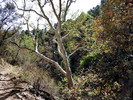photo thumbnail #11