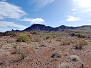 photo thumbnail #5