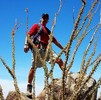 photo thumbnail #2