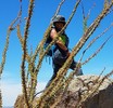photo thumbnail #3