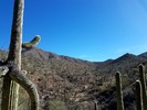 photo thumbnail #5