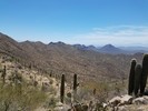 photo thumbnail #13