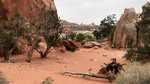 photo thumbnail #12