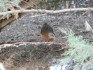 photo thumbnail #10