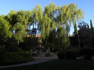 photo thumbnail #7