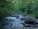 photo thumbnail #15