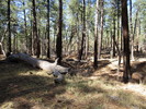 photo thumbnail #6