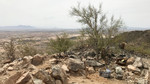 photo thumbnail #4