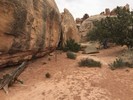 photo thumbnail #13