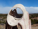 photo thumbnail #6