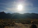 photo thumbnail #2