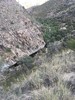 photo thumbnail #15